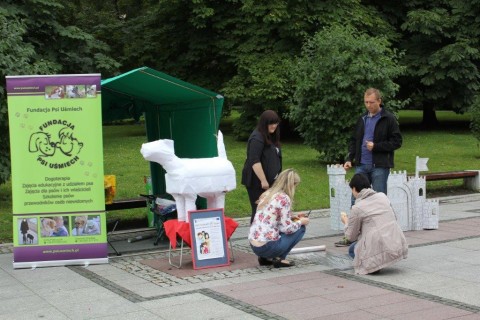 Festyn edukacyjny „Sieciaki na wakacjach”
