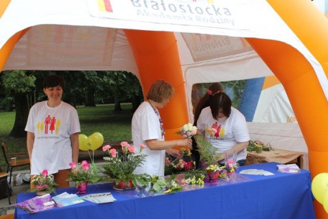 Festyn edukacyjny „Sieciaki na wakacjach”