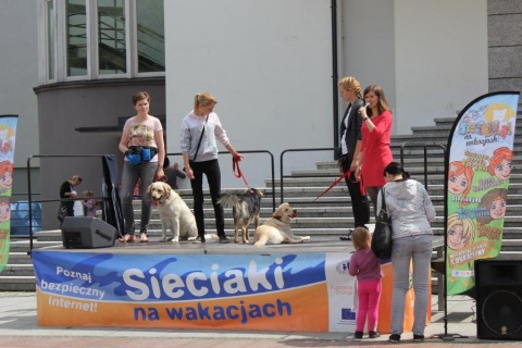 Festyn edukacyjny „Sieciaki na wakacjach”