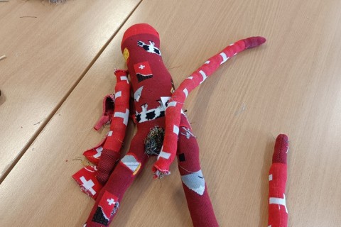Charytatywna akcja szycia małpek