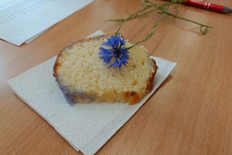 Warsztaty zielarskie dla seniorów -„Kwiaty, które karmią i leczą”