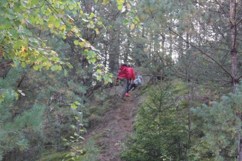 Survival Taty i Syna