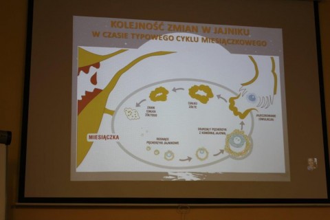 Warsztaty „Naturalne Planowanie Rodziny”