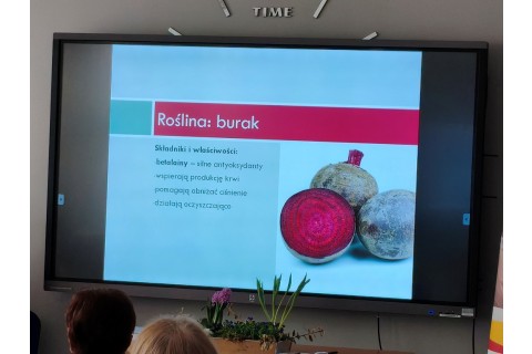 Warsztaty hortiterapeutyczne dla seniorów „Kolory, które leczą”