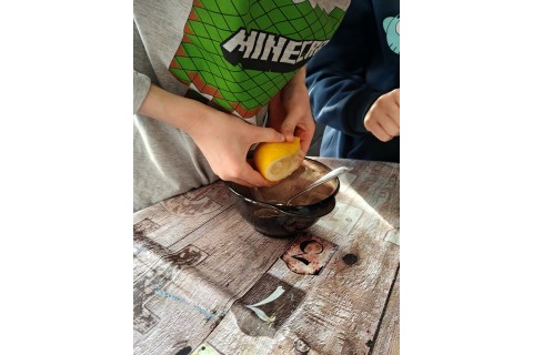 Warsztaty edukacyjno-przyrodnicze dla dzieci „Zielona baza małego ogrodnika”
