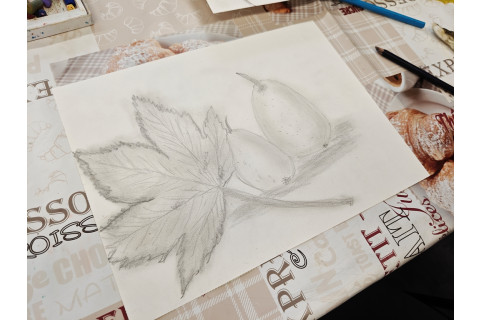 Warsztaty malarstwa dla seniorów - inspiracje naturą i sztuką