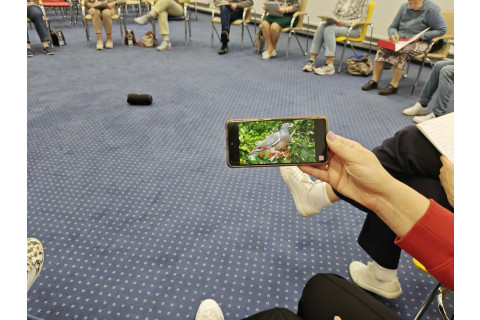 Trening pamięci i koncentracji seniorów na wesoło