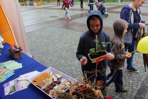 Festyn spółki „Lech”