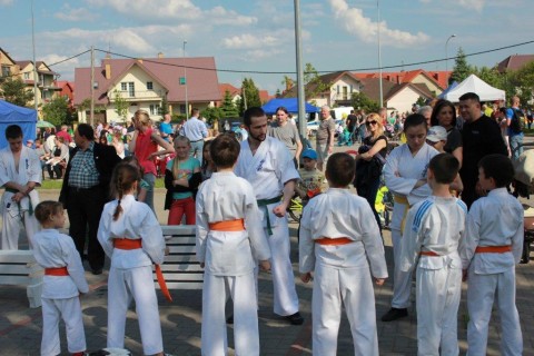 Festyn stowarzyszenia „Rodzina na Plus”