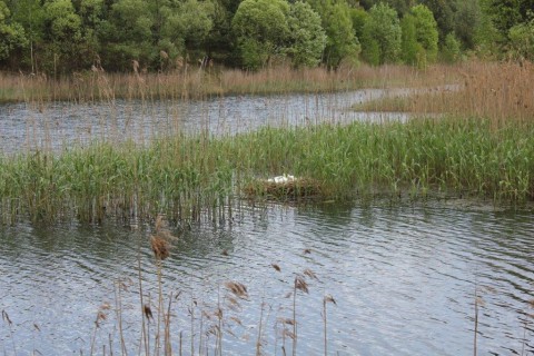 Surivival „Rodzice i dzieci”