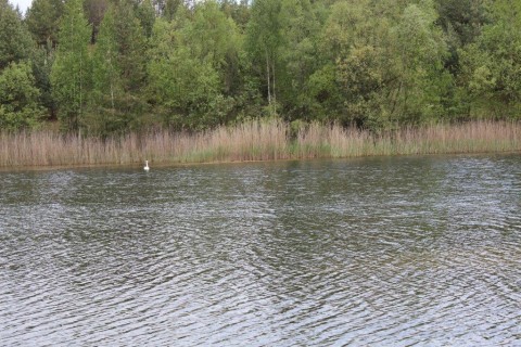 Surivival „Rodzice i dzieci”