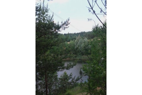 Surwiwal „Rodzice i dzieci”
