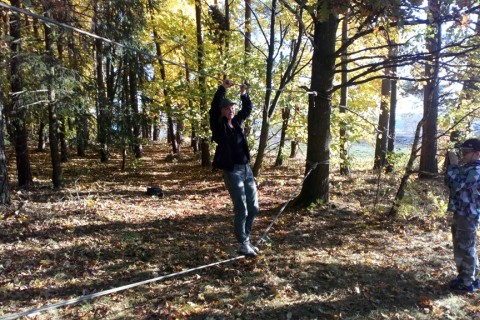 Survival 