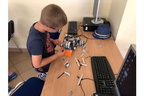 Robotyka