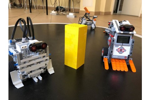 Robotyka