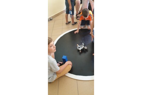 Robotyka