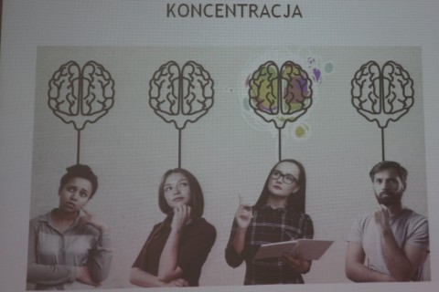 Warsztaty - Mistrz nauki dla dzieci z V-VI klas