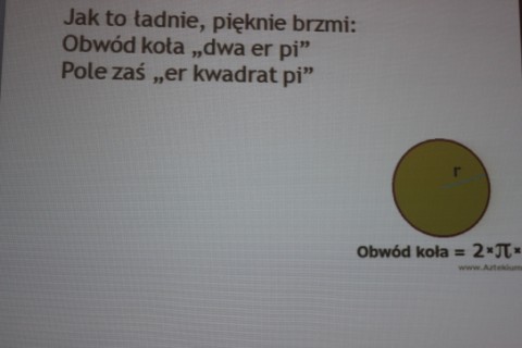 Warsztaty - Mistrz nauki dla dzieci z V-VI klas
