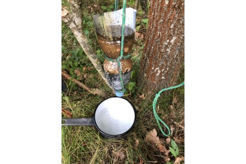 Survival dla rodziców z dziećmi