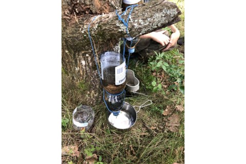 Survival dla rodziców z dziećmi