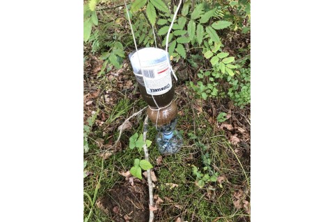 Survival dla rodziców z dziećmi