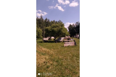 SURVIVAL DLA RODZICÓW Z DZIEĆMI