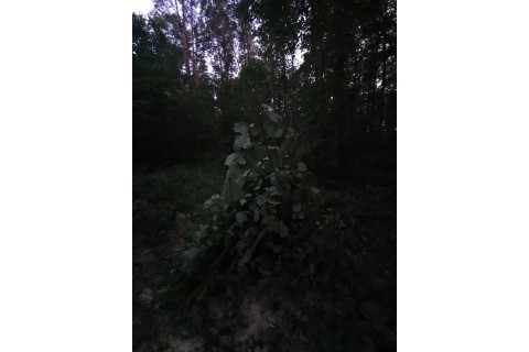 SURVIVAL DLA RODZICÓW Z DZIEĆMI
