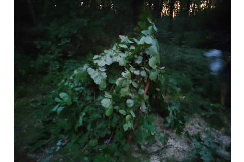 SURVIVAL DLA RODZICÓW Z DZIEĆMI