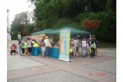 Piknik edukacyjny &bdquo;Sieciaki na wakacjach&rdquo;