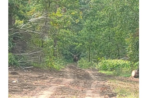 SURVIVAL DLA RODZICÓW Z DZIEĆMI