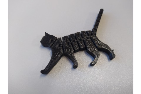 Warsztaty 3D