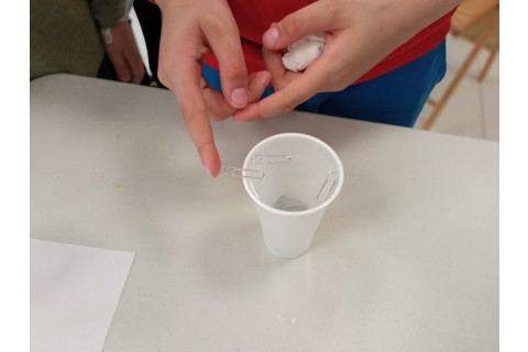 Warsztaty „Akademia młodego naukowca”