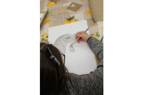 Zajęcia z rysunku 4