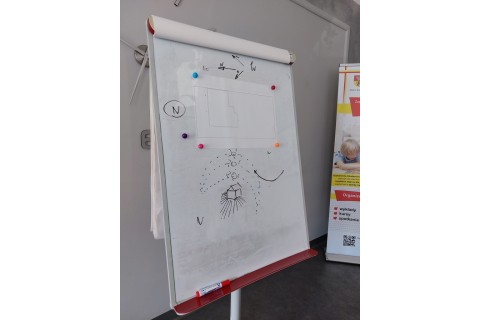Warsztaty „Aranżujemy ogród”