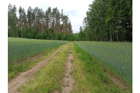 Survival dla rodziców z dziećmi
