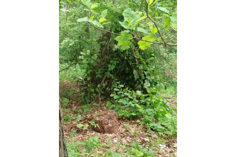 Survival dla rodziców z dziećmi