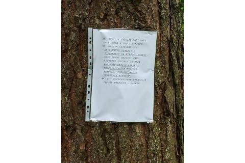 Survival dla rodziców z dziećmi