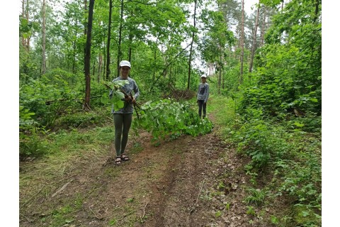 Survival dla rodziców z dziećmi