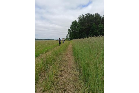 Survival dla rodziców z dziećmi