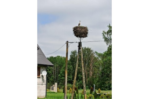 Survival dla rodziców z dziećmi