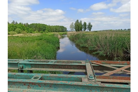 Survival dla rodziców z dziećmi