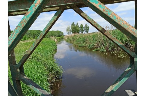 Survival dla rodziców z dziećmi