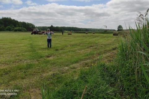 Survival dla rodziców z dziećmi