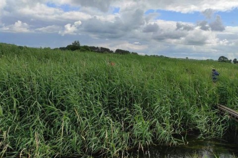 Survival dla rodziców z dziećmi