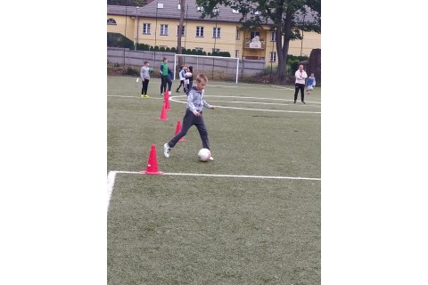Zajęcia sportowe