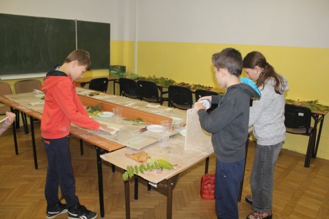 Warsztaty dla dzieci „Zabawy z drewnem” 2