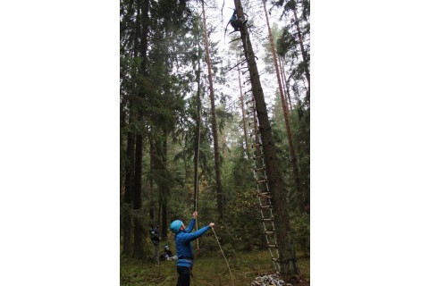 Survival Taty i Syna 