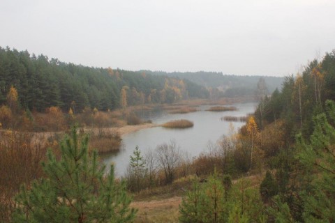 Survival Taty i Syna 