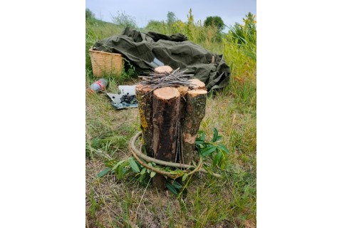 Survival dla rodziców z dziećmi