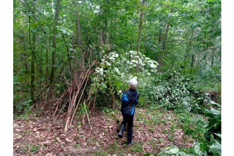 Survival dla rodziców z dziećmi